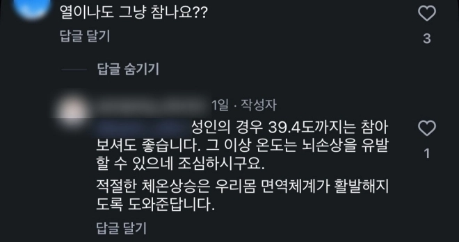 A 한의사는 ‘열이 나도 그냥 참냐’는 질문에 “성인의 경우 39.4도까지는 참아 보셔도 좋다. 그 이상 온도는 뇌손상을 유발할 수 있으니 조심하시라”라며 “적절한 체온상승은 우리몸 면역체계가 활발해지도록 도와준다”고 답했다. A 한의사 인스타그램 캡처