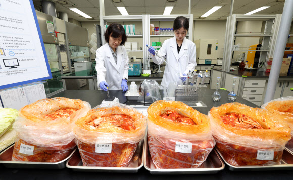 31일 서울 서초구 보건환경연구원에서 연구원들이 중국산 김치 포름알데히드 시험을 하고 있다. 중국에서 배추 신선도 유지를 위해 1군 발암물질인 포름알데히드를 사용한 사실이 알려지면서 서울시는 중국산 배추의 도매시장 반입부터 온오프라인 유통, 음식점·전통시장 등 실제 소비현장까지 별도로 재점검하는 ‘4대 안전망’을 가동한다. 2026.8.31  공동취재