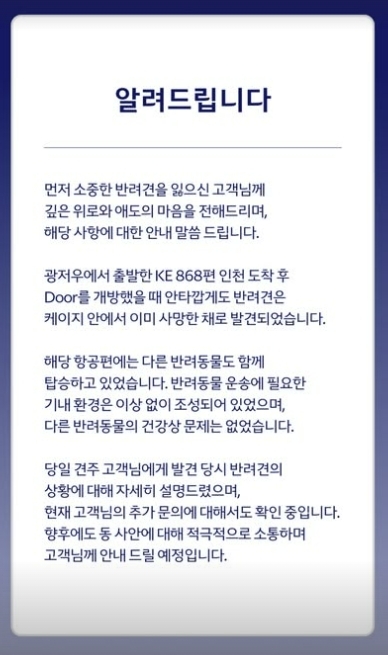 대한항공 인스타그램 캡처