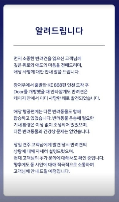 대한항공 인스타그램 캡처