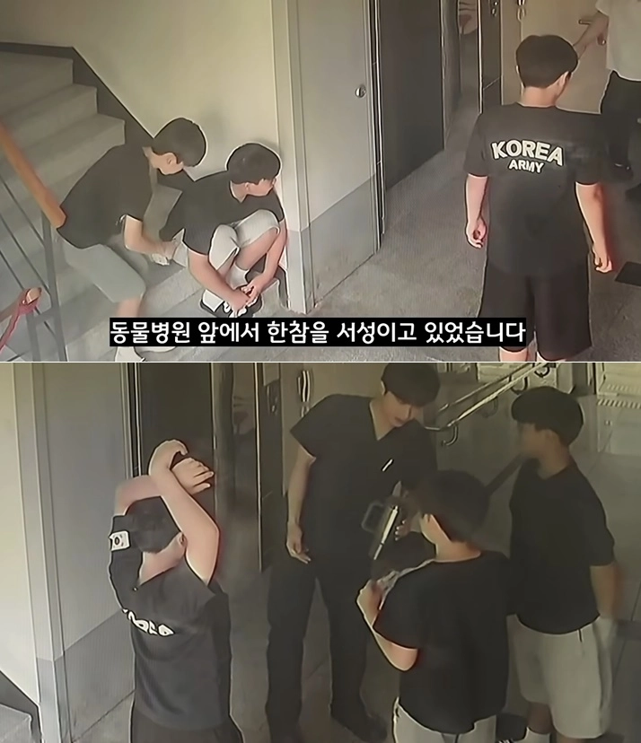 길에서 죽어가는 야생 생쥐를 발견한 초등학생 세 명이 자신들이 모은 2만원을 들고 동물병원을 찾아 치료를 부탁한 사연이 전해졌다. 유튜브 채널 ‘동행동물병원 | 동동행행’ 캡처