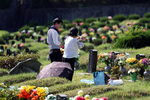 13일 오전 전남광주 북구 영락공원묘지를 찾은 성묘객들이 추석을 앞두고 조상의 묘 앞에서 절하고 있다. 2026.9.13  연합뉴스