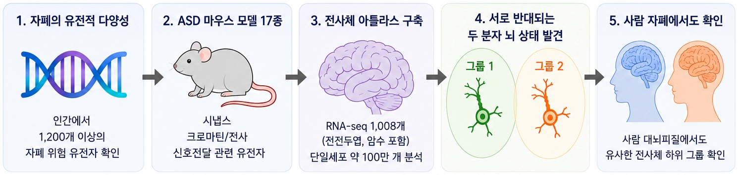 자폐의 유전적 다양성 분류 연구 방법

과학기술정보통신부 제공
