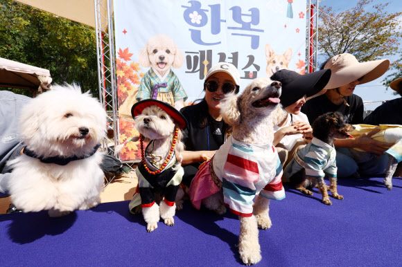 ‘우리 한복 입었개’