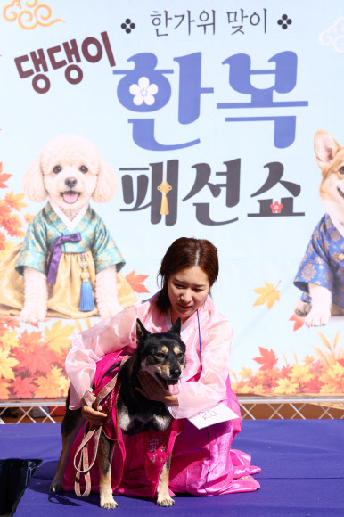 한가위 맞이 댕댕이 한복 패션쇼