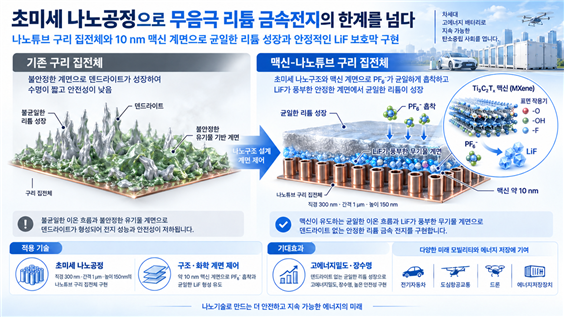 카이스트 제공