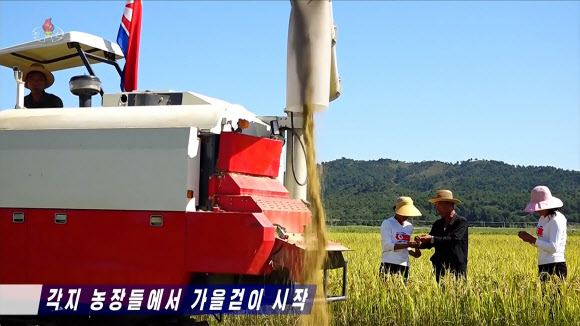 북한이 올해 전국적인 벼 수확을 지난해보다 5일 앞당겨 시작했다고 조선중앙TV가 22일 보도했다. 최대 곡창지대인 황해남도에서는 연안군·안악군·신천군을 비롯한 도내 농장들이 매일 수천 정보씩 벼를 거둬들여 지난 한 주 동안에만 1만 수천 정보의 수확 실적을 올렸다고 전했다. 2026.9.23. 조선중앙TV 화면 연합뉴스