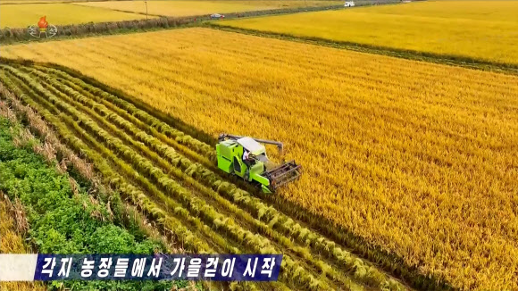 북한이 올해 전국적인 벼 수확을 지난해보다 5일 앞당겨 시작했다고 조선중앙TV가 22일 보도했다. 최대 곡창지대인 황해남도에서는 연안군·안악군·신천군을 비롯한 도내 농장들이 매일 수천 정보씩 벼를 거둬들여 지난 한 주 동안에만 1만 수천 정보의 수확 실적을 올렸다고 전했다. 2026.9.23. 조선중앙TV 화면 연합뉴스