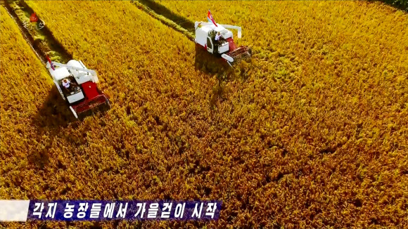 북한이 올해 전국적인 벼 수확을 지난해보다 5일 앞당겨 시작했다고 조선중앙TV가 22일 보도했다. 최대 곡창지대인 황해남도에서는 연안군·안악군·신천군을 비롯한 도내 농장들이 매일 수천 정보씩 벼를 거둬들여 지난 한 주 동안에만 1만 수천 정보의 수확 실적을 올렸다고 전했다. 2026.9.23. 조선중앙TV 화면 연합뉴스