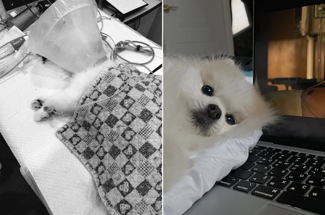 이솔이 인스타그램 캡처