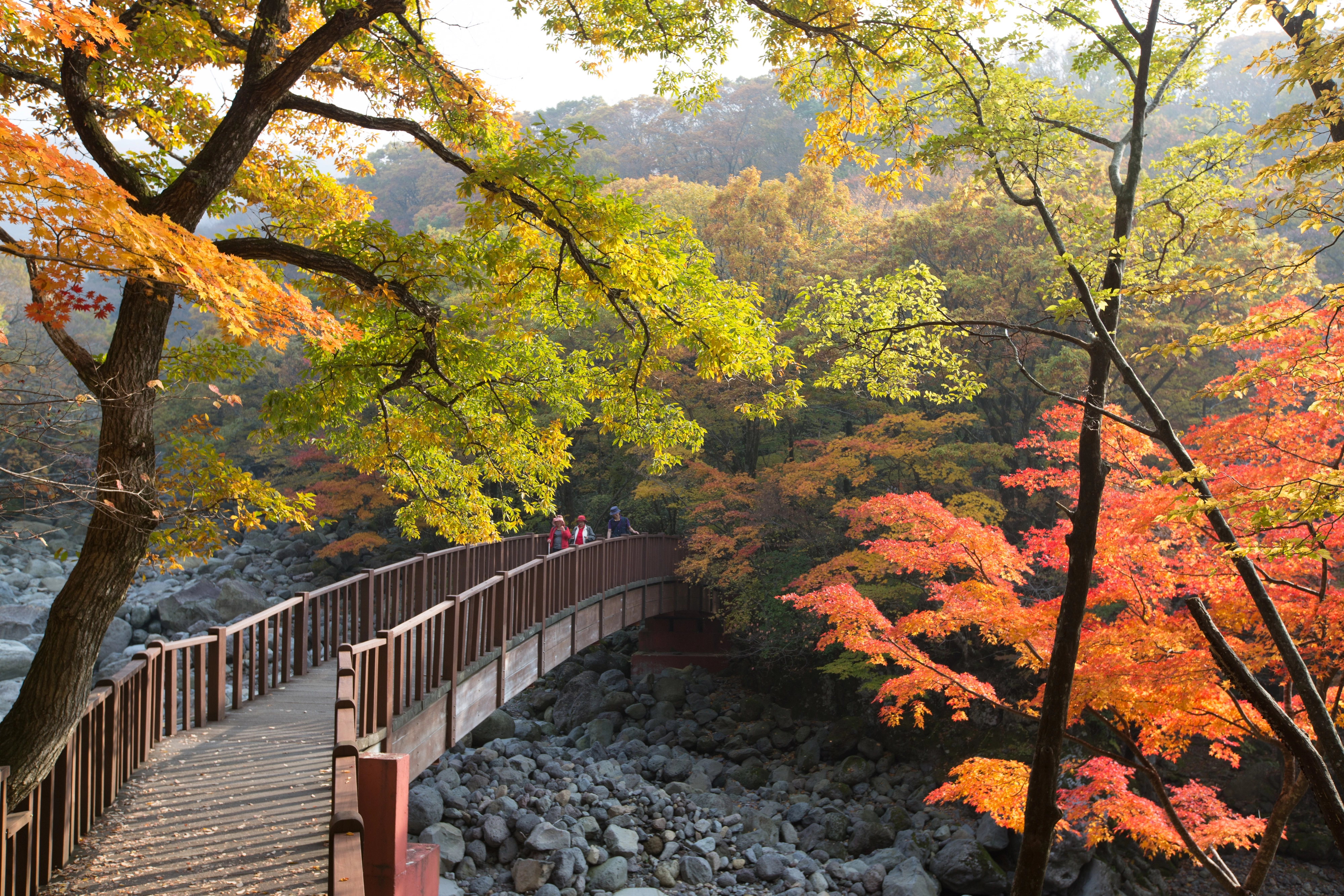 한라산의 가을. 제주관광공사 제공