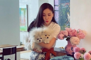 [����] ��163�� ��Ʈ�Ͽ콺�� ���ҿ�