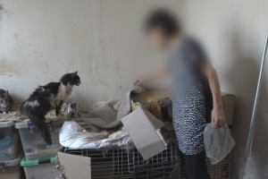 쓰레기 집에 고양이 30마리와 동거…‘유명가수’ 누나였다