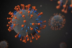 “中서 신종 인수공통 바이러스 발견, 35명 감염”