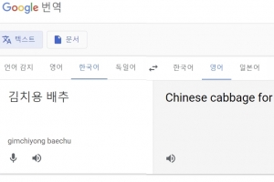‘김치용 배추’ 구글 번역하면 “Chinese cabbage”로…서경덕 “구글에 항의”