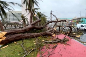 나무 뽑히고 물 범람… 슈퍼 태풍 ‘마와르’ 괌 강타