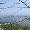 thumbnail - 백령도 부근서 북한 항공기 추정 움직임 감지…선박 70여척 한때 피항