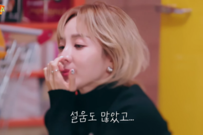 “‘2NE1’ 해체 뒤 방송 대우 달라져 설움” 산다라박 눈물