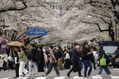 “일본여행 가서 벚꽃 즐겼다”…3월 日방문 한국인 66만명 ‘외국인 1위’