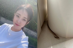 배우 박은혜 “집안에서 뱀 허물 나왔다”…사진 보니 ‘경악’