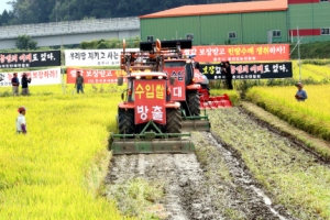 “쌀값 보장하라”…논 갈아엎는 농민들