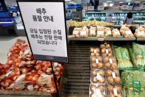 텅 빈 배추 매대