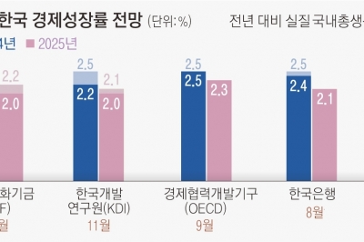 IMF “내년 韓성장률 2.0% 그칠 것”…한 달 만에 0.2%P 낮췄다