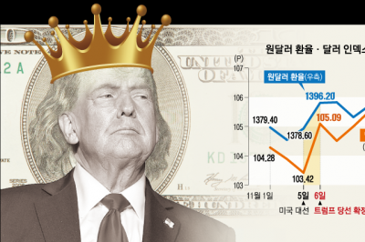 트럼프가 날린 ‘强달러 펀치’… 예측불허 행보가 몸값 높였다 [딥 인사이트]