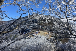 지리산에 핀 상고대