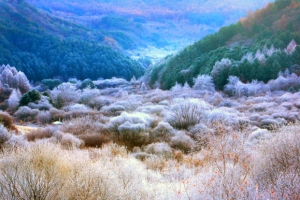 한 폭의 그림 같은 비밀의 정원