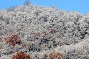 눈 쌓인 산