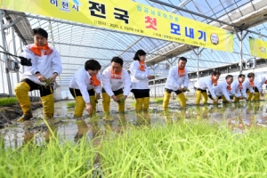 전국 첫 모내기