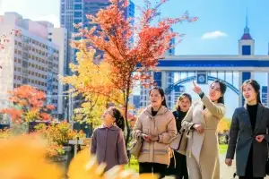 thumbnail - 단풍으로 물든 거리를 즐기는 평양 시민들