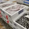 thumbnail - “일본산 수산물 수입 중지”… 中, 日에 추가 보복 카드
