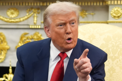 thumbnail - ‘조지아 구금’ 재발 방지 강조한 트럼프… “난 바보같이 그러지 말라고 했다”