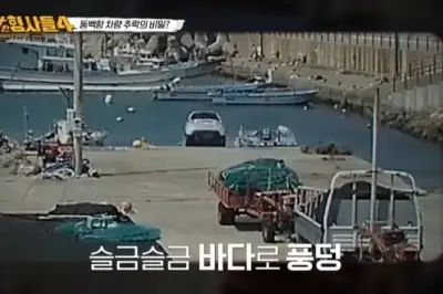thumbnail - 바다 추락 차량서 ‘시한부’ 여동생 사망…홀로 탈출한 친오빠