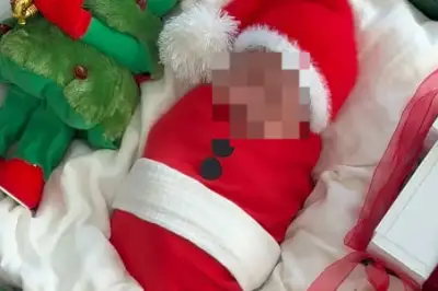 thumbnail - 이시영, 신생아 딸 ‘상자에 담은’ 사진 결국 삭제…‘부적절’ 지적에 “과도한 비판” 반론