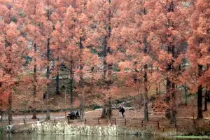 thumbnail - 깊어가는 가을