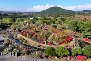 thumbnail - 제주 중산간의 어느 화창한 가을날