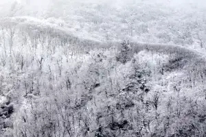 thumbnail - 겨울옷 입은 백두대간