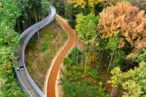 thumbnail - 겨울로 가는 길목