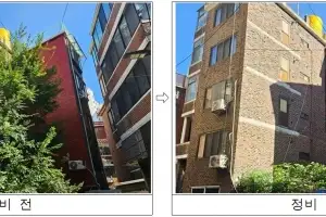 thumbnail - 구로구, 생활공간 주변 위험수목 202주 정비 완료