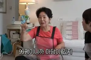 선우용여, 남편 때문에…99평 청담동 단독주택 처분