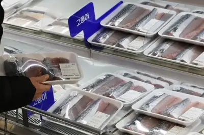 thumbnail - 네 집 중 한 집 ‘마이너스’ 살림…고물가에 6년 만에 최고 수준