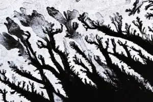 thumbnail - 한파가 그린 수묵화