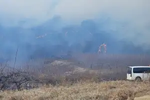 thumbnail - 의성군서 산불 발생…주민 대피명령 발령