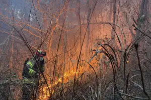 thumbnail - ‘하늘이 도왔다’…의성 산불 3시간 만에 주불 진화