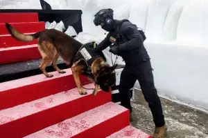thumbnail - 강원경찰특공대 탐지견 투입 안전 점검