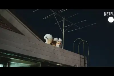 thumbnail - 구미호와 월클 축구스타의 만남…김혜윤·로몬 조합에 기대감 폭발 중인 SBS ‘신작드라마’