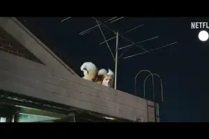 thumbnail - 구미호와 월클 축구스타의 만남…김혜윤·로몬 조합에 기대감 폭발 중인 SBS ‘신작드라마’